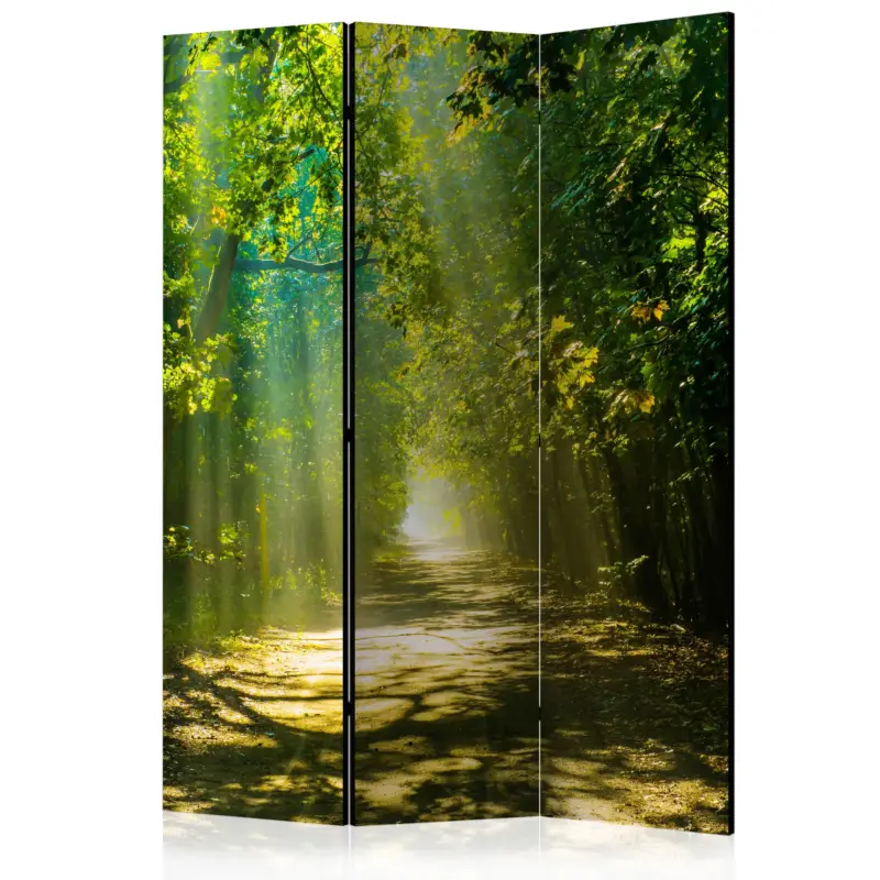 Kamerscherm - Road in Sunlight [Room Dividers] - 135x172 Petit Prix