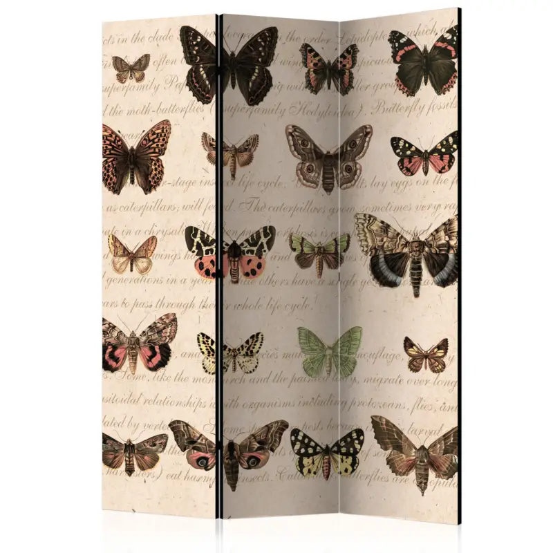 Kamerscherm - Retro Style: Butterflies [Room Dividers] - 135x172 Offre Limitée
