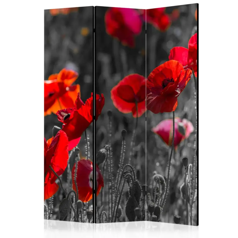 Kamerscherm - Red Poppies [Room Dividers] - 135x172 Commande En Gros