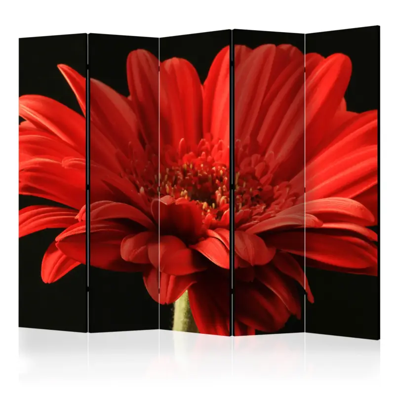 Marque Kamerscherm - Red gerbera flower II [Room Dividers] - 225x172