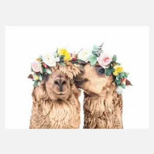 Boho Alpacas Canvasprint (30x40 cm) Satisfait Ou Remboursé