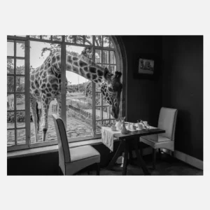 Expédition Rapide Breakfast Time Canvasprint (30x40 cm)