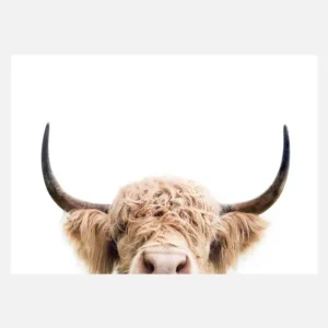 Peeking Cow Canvasprint (30x40 cm) Retour Gratuit