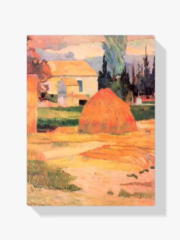 Vente Flash Schilderen op nummer – Boerderij in Arles - 40x50cm