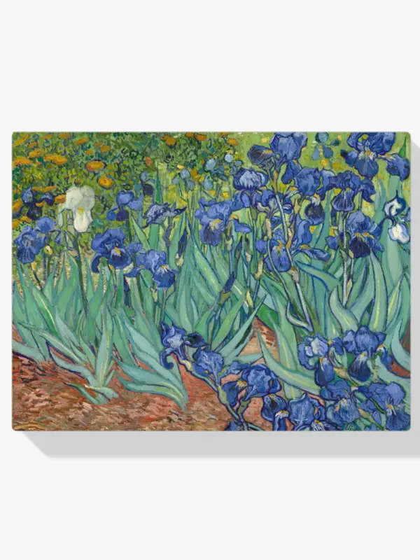 Achat Immédiat Schilderen op nummer – Prachtige bloemen Van Gogh - 50x60cm