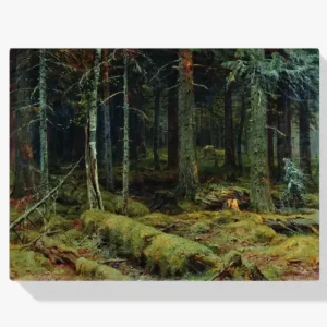 Vente Flash Schilderen op nummer – Donker bos - 50x70cm