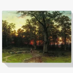 Achat Immédiat Schilderen op nummer – Avond in het bos - 40x40cm