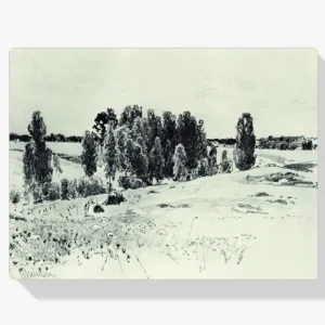 Vente Directe Schilderen op nummer – Landschap - 50x50cm