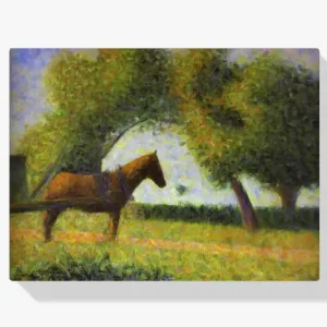Achat Immédiat Schilderen op nummer – Paard in een veld - 100x100cm