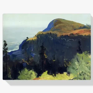 Achat Immédiat Schilderen op nummer – Heuvel en vallei - 50x50cm