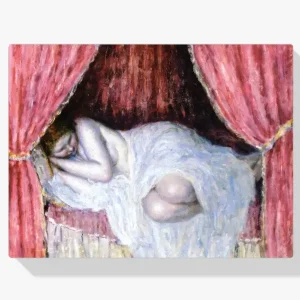 Vente Directe Schilderen op nummer – Naakt achter rode gordijnen - 60x80cm