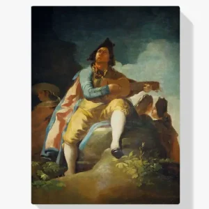 Acheter Direct Schilderen op nummer – Gitaarspeler - 70x70cm