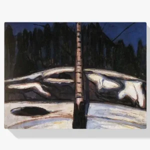 Acheter Direct Schilderen op nummer – Berk in de sneeuw - 70x80cm