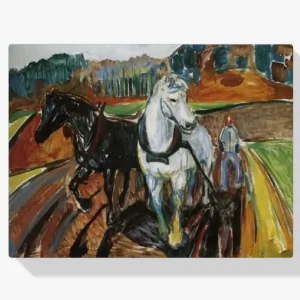 Vente Directe Schilderen op nummer – Span Paarden - 50x50cm