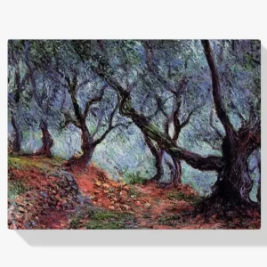 Vente Directe Schilderen op nummer – Olijfboomgaard in Bordighera - 40x50cm