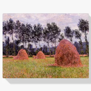 Acheter Direct Schilderen op nummer – Hooibergen bewolkte dag - 80x90cm