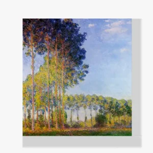 Vente Directe Schilderen op nummer – Populieren op de oevers van de Epte gezien vanaf het moeras - 70x80cm