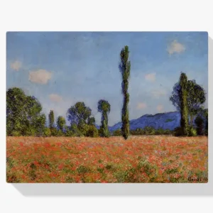 Vente Directe Schilderen op nummer – Klaprozenveld - 60x70cm