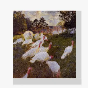 Vente Directe Schilderen op nummer – Kalkoenen - 40x50cm