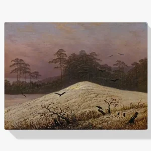 Vente Directe Schilderen op nummer – Sneeuwheuvel met Raven - 80x80cm