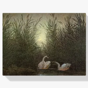 Achat Immédiat Schilderen op nummer – Zwaan in het riet - 80x80cm