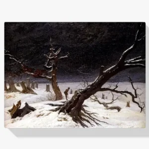 Vente Directe Schilderen op nummer – Winterlandschap - 60x80cm